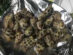 盐焗花螺-淇沙湾渔村餐厅