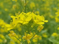 -长春公园(普阳街道)