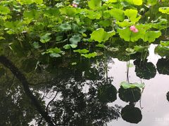 -洪都大拇指(洪都店)