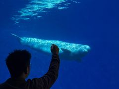 -泉城欧乐堡海洋极地世界