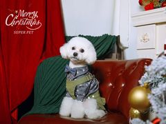 -超宠爱宠物摄影-Super pet