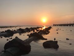 -鸿港海鲜批发市场