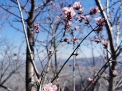 -北京凤凰岭