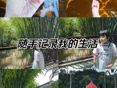 -林丰温泉度假山庄