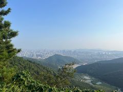 -惠山国家森林公园