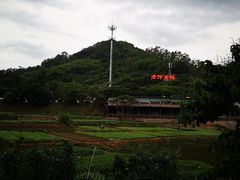 -全汁全味驴庄(凤岗店)