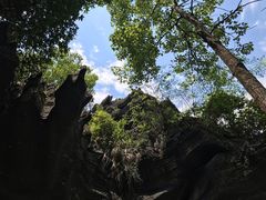 -梭布垭石林景区