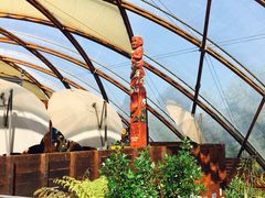 -怀托摩萤火虫洞