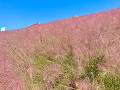 -沂蒙云瀑洞天景区