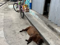 -大澳渔村及棚屋