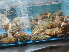 -徐记海鲜(丰庆店)