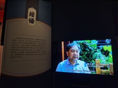 -北京大学赛克勒考古与艺术博物馆