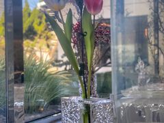 -九献创意菜·牛排馆(亮马河花园店)