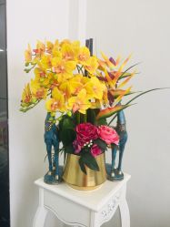 -久匠·纹眉半永久野生眉