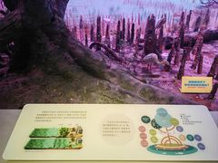 -中国湿地博物馆