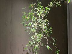 -喜湘宴·精致湖南菜(和平西桥店)