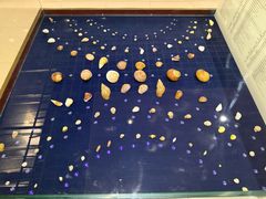 -青岛贝壳博物馆