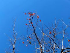 -香山公园-东宫门售票处