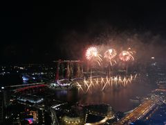 -新加坡瑞士史丹福酒店