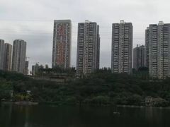-重庆彩云湖湿地公园