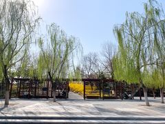 -大兴滨河森林公园