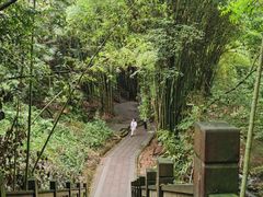 -凤栖山