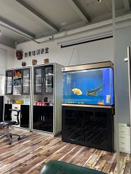 -雕哥的纹身店A3 TATTOO&纹身培训