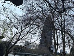 -红梅公园