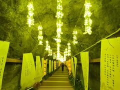 -秦岭天竺山生态文化旅游景区