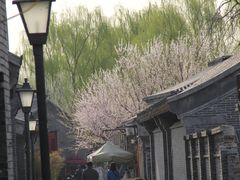 -三里河公园