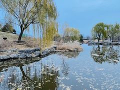 -北京西山国家森林公园