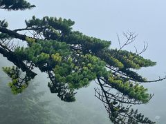 -峨眉山风景名胜区