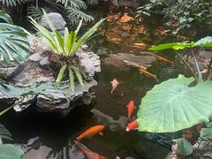 -白天鹅宾馆·流浮阁咖啡厅