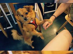 -Egg•Allday Brunch(襄阳北路店)