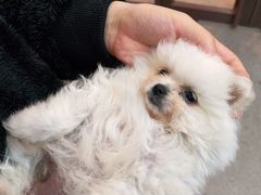 -安安宠医·安宠宠物医院