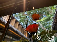 -鲤院·新中式美学·庭院餐厅(夫子庙店)