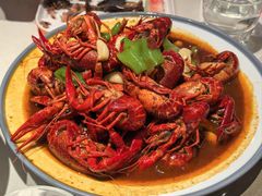 -杨氏青龙虾·羊蝎子(托乐嘉店)