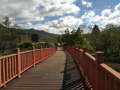 -泸沽湖国家级风景名胜区走婚桥