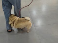 -阿荣24H宠物医院·综合型转诊中心·CT·核磁影像中心