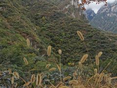 -周口店坡峰岭风景区