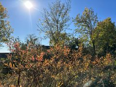 -北京西山国家森林公园