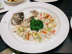 -金星大酒店(东街店)