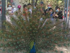 -长白岛森林公园