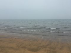 -北海金海湾红树林生态旅游区