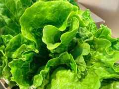 -炉队长·齐齐哈尔家庭烤肉(马家堡店)