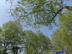 -中国美术学院-美术馆