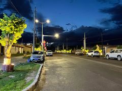 -马白开来特色羊排揪片子  (总店)