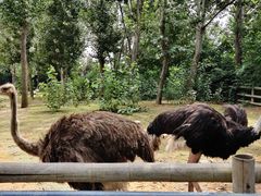 -大连森林动物园