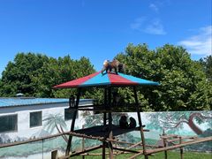 -西霞口神雕山野生动物世界