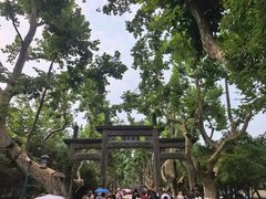 -杭州黄龙洞